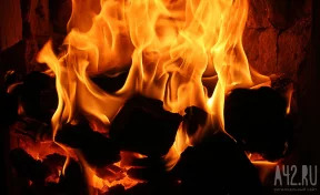 Соцсети: две собаки и две кошки погибли в пожаре в деревне под Кемеровом