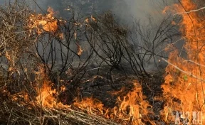 Крупный пожар в Геленджике, локализованный на 100 гектарах, потушили