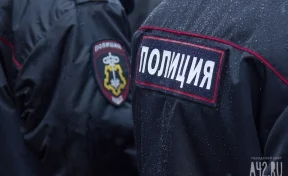 Полиция проверяет информацию о погибших собаках в Кемеровском районе