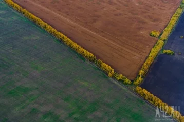 Фото: Росреестр: границы ещё 48 населённых пунктов Кузбасса внесены в ЕГРН 1
