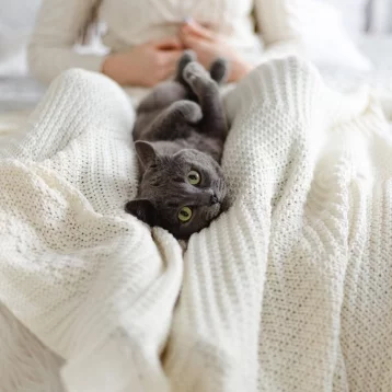 Фото: Возьми кота домой: как без вложений сделать успешный аккаунт в Instagram и пристраивать бездомных животных 18
