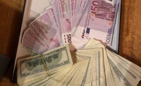 Начальник исправительной колонии задержан в Санкт-Петербурге по делу о коррупции