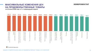 Инфографика: Кемеровостат