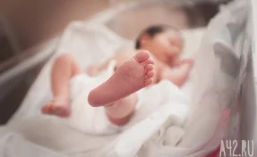 В Индии стая бездомных собак спасла новорождённого ребёнка, которого оставили на улице