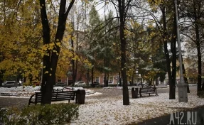 Заморозки и мокрый снег: синоптики дали прогноз погоды на неделю в Кузбассе