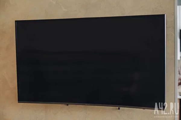 Самыми популярными мультфильмами стали «Три кота» и «Маша и Медведь»