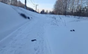 Грузовой поезд сбил школьника в пригороде Томска