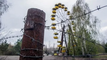 Фото: Обнажёнка в Чернобыле возмутила пользователей Сети  1