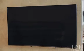 Самыми популярными мультфильмами стали «Три кота» и «Маша и Медведь»