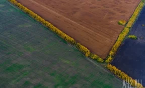Росреестр: границы ещё 48 населённых пунктов Кузбасса внесены в ЕГРН