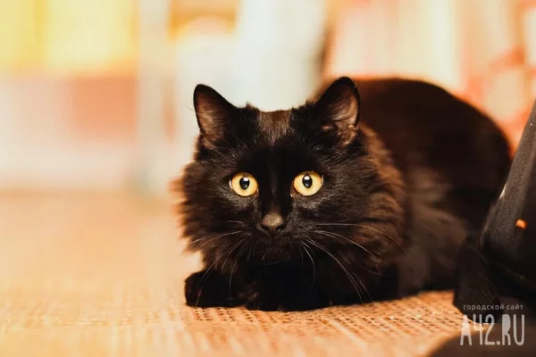 Ерёмин день: 17 ноября рекомендовалось не выходить из дома