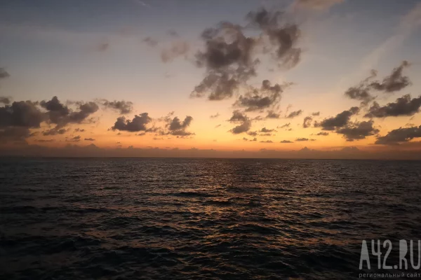 Минтранс России выступил с заявлением после захвата военными США танкера Marinera