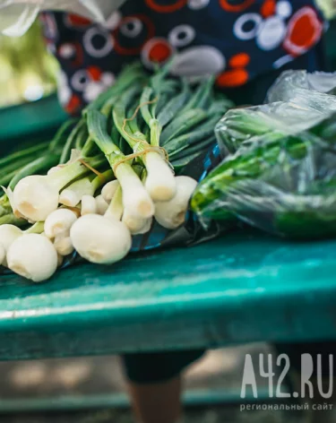 Луков день: народные приметы на 31 октября