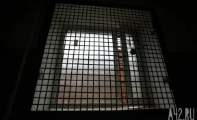 Жительницу Нижегородской области задержали по подозрению в госизмене
