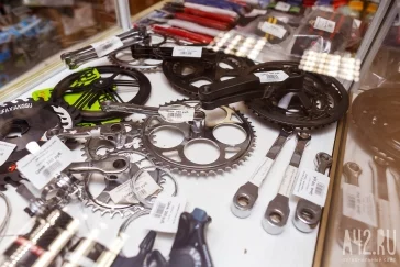 Фото: Игорь Болтивец / «Газета Кемерова»