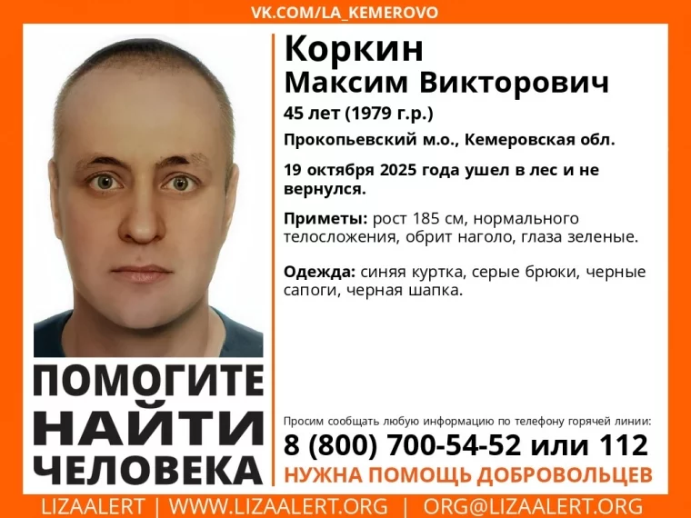 Фото: В Кузбассе ищут 45-летнего мужчину, который не вернулся из леса 1