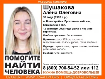 Фото: Беременная женщина сутки находится в кузбасском лесу, объявлены её поиски 1