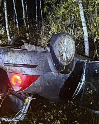 Фото: <a href=https://vk.ru/wall-72251848_1776>Томская областная ПСС</a> / «ВКонтакте»