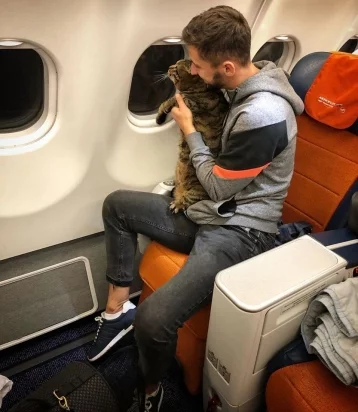 Фото: Пассажира «Аэрофлота» лишили бонусных миль из-за толстого кота Виктора 1