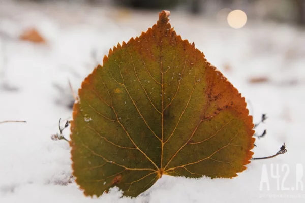 Синоптики сделали прогноз на 13 октября в Кузбассе