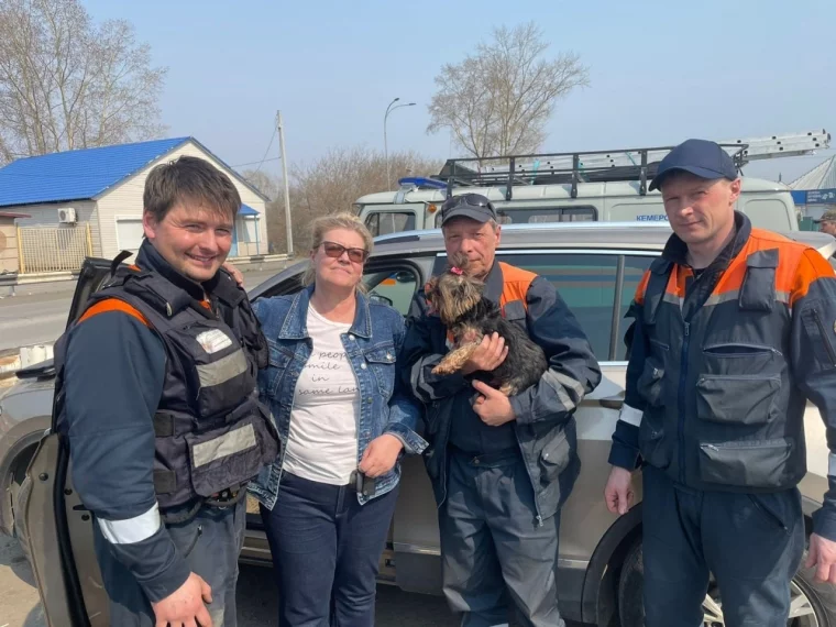 Фото: В Кузбассе собака оказалась заперта в машине: ей понадобилась помощь спасателей 2