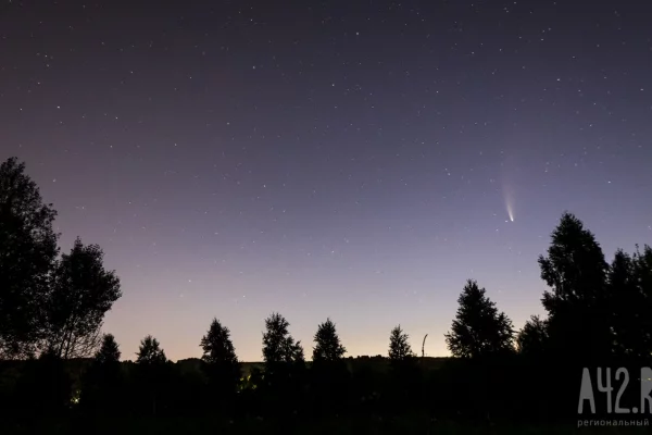 Силы ПВО за ночь сбили 117 БПЛА над регионами РФ и Чёрным морем