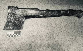 Житель Тюменской области забил гостя топором за отказ пойти за алкоголем