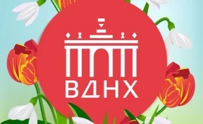11 миллионов человек посетили выставку-форум «Россия» на ВДНХ