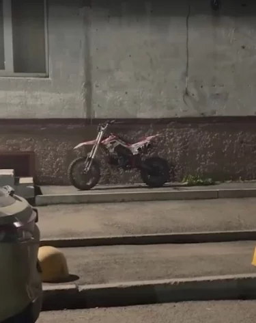 Фото, видео: <a href=https://vk.ru/wall-230753963_2560>Ирина Волк</a> / «ВКонтакте»