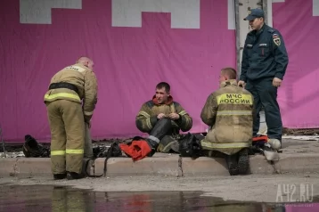 Фото: За сутки в Кузбассе пожарные ликвидировали 36 возгораний 1
