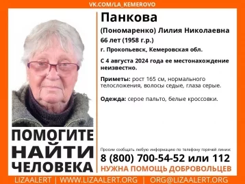 Фото: 66-летняя женщина в сером пальто пропала в Кузбассе 1