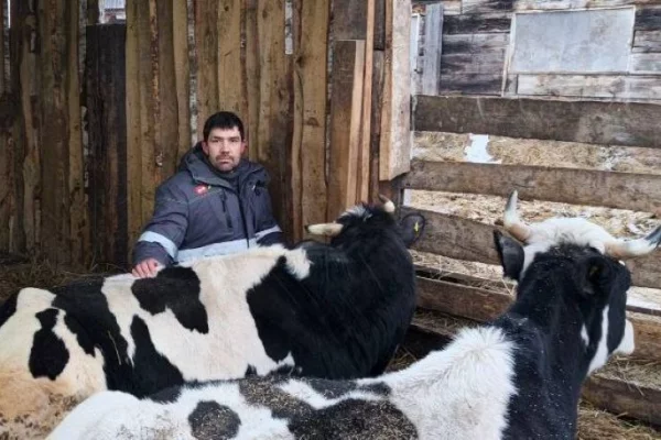 Губернатор Кузбасса: фермеры в разы увеличили объёмы производства 