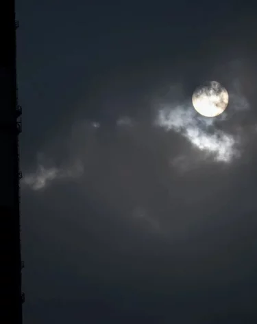 Девятнадцать БПЛА сбили над регионами РФ за три часа, из них 10 — в Курской области