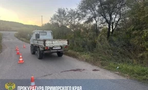 В Приморском крае две 10-летние девочки выпали из кузова грузовика, одна погибла