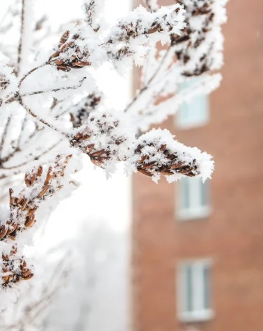 Местами до -21: синоптики рассказали о похолодании и метелях в Кузбассе 8 января