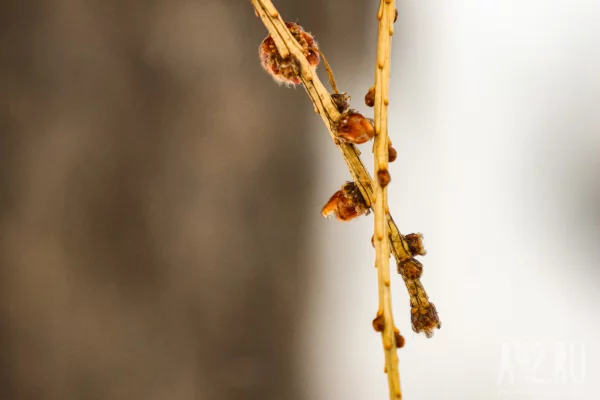 Алексей Тёплый: приметы на 30 марта