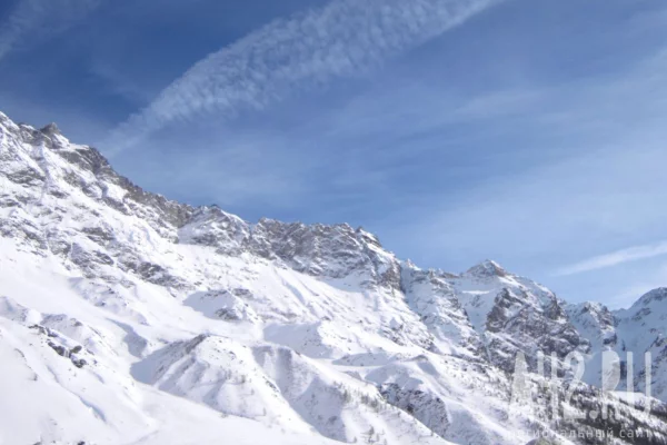 В Башкирии смартфон спас сноубордиста от медведя 