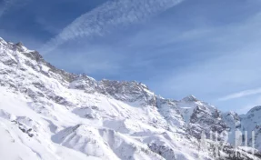 В Башкирии смартфон спас сноубордиста от медведя 