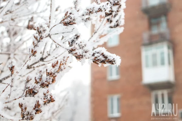 Местами до -21: синоптики рассказали о похолодании и метелях в Кузбассе 8 января