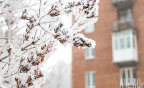 Местами до -21: синоптики рассказали о похолодании и метелях в Кузбассе 8 января