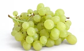 Учёные рассказали, как виноград влияет на организм