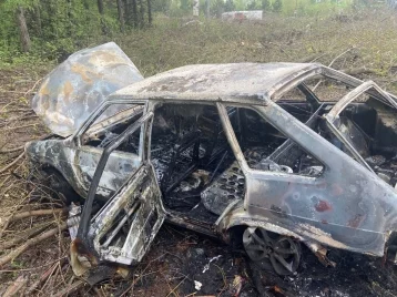 Фото: Кузбассовец пытался сжечь угнанную в Томске машину, но попался полиции 1