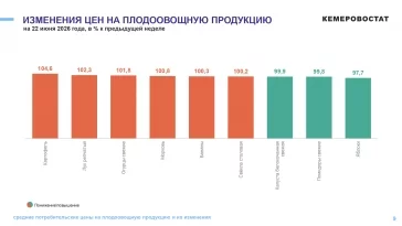 Фото: Кемеровостат: в Кузбассе за неделю куриные яйца подешевели на 6,5% 1