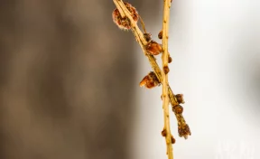 Алексей Тёплый: приметы на 30 марта