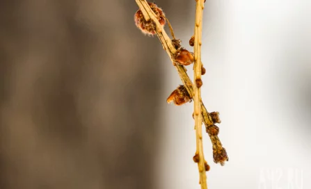 Алексей Тёплый: приметы на 30 марта