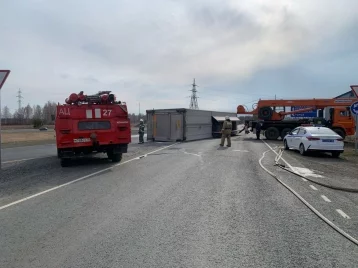 Фото: Фура со свиньями перевернулась на трассе в Томской области 1