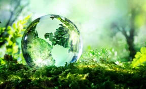 Образование свалок и загрязнение воздуха волнуют россиян больше изменения климата — исследование Фонда «Экология» РСХБ