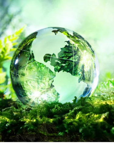 Образование свалок и загрязнение воздуха волнуют россиян больше изменения климата — исследование Фонда «Экология» РСХБ