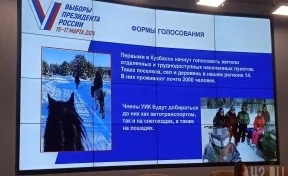 В Кузбассе до избирателей в удалённых посёлках будут добираться на снегоходах и лошадях