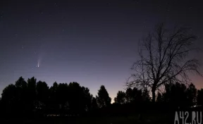 Силы ПВО за три часа сбили 44 БПЛА, из них 30 — в Курской области